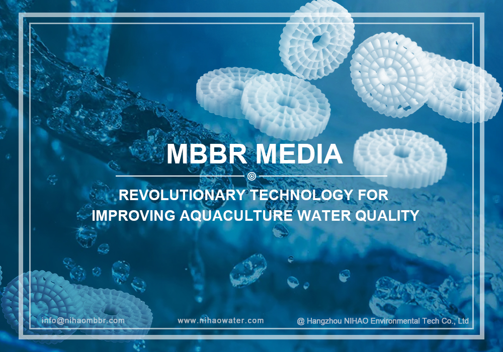 MBBR: Revolutionäre Technologie zur Verbesserung der Wasserqualität in Aquakulturen